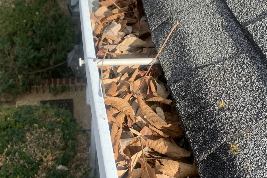 Gainesville Gutter Cleaning