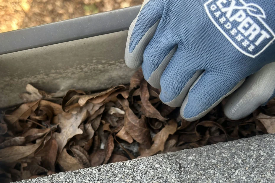 Gutter Cleaning Gainesville FL