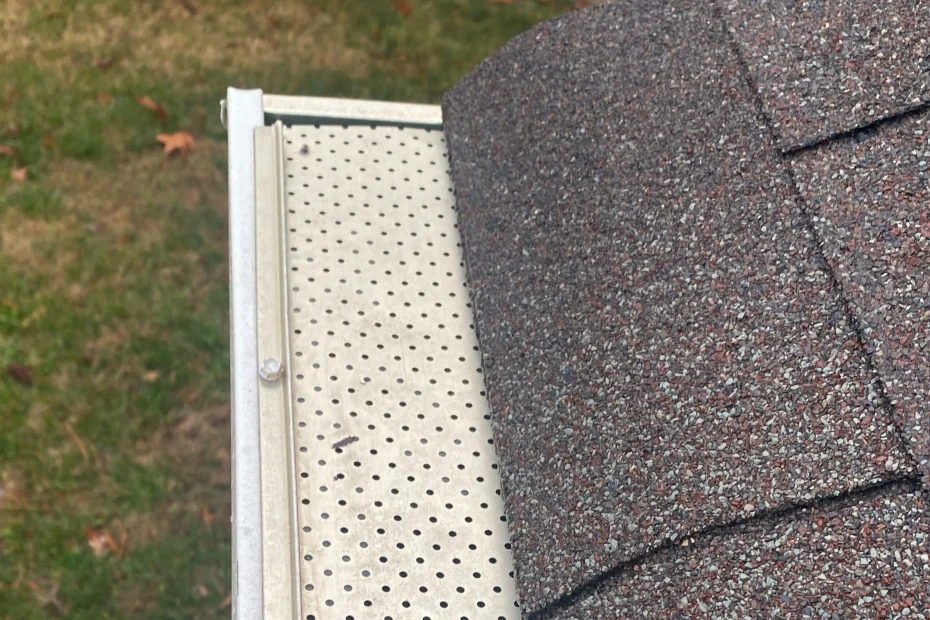 Gutter Cleaning Gainesville FL