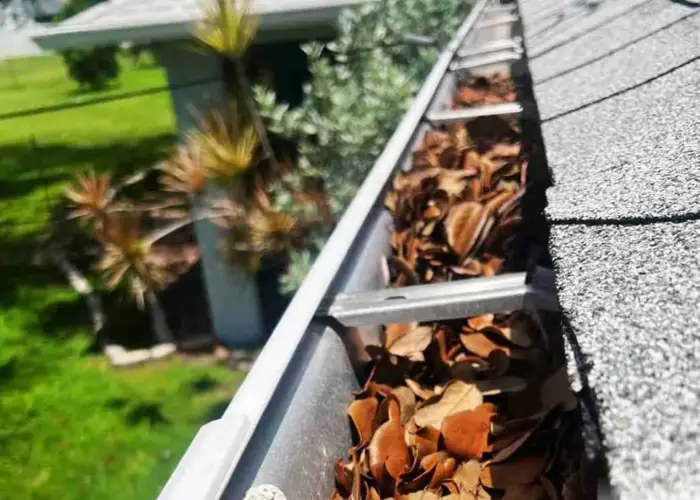 Gutter Cleaning Gainesville FL home page